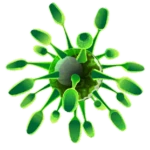 Logo of Viruses android Application 